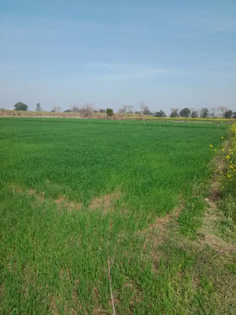 Why Investing in Agricultural Land through Bhavya Ventures is the Best Option